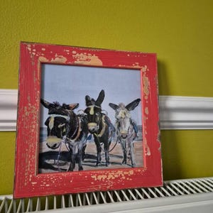 Jo added a photo of their purchase