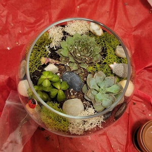 Lei-Lani added a photo of their purchase
