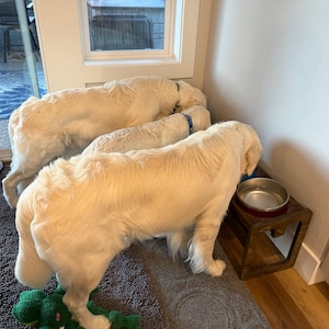 Jennifer added a photo of their purchase