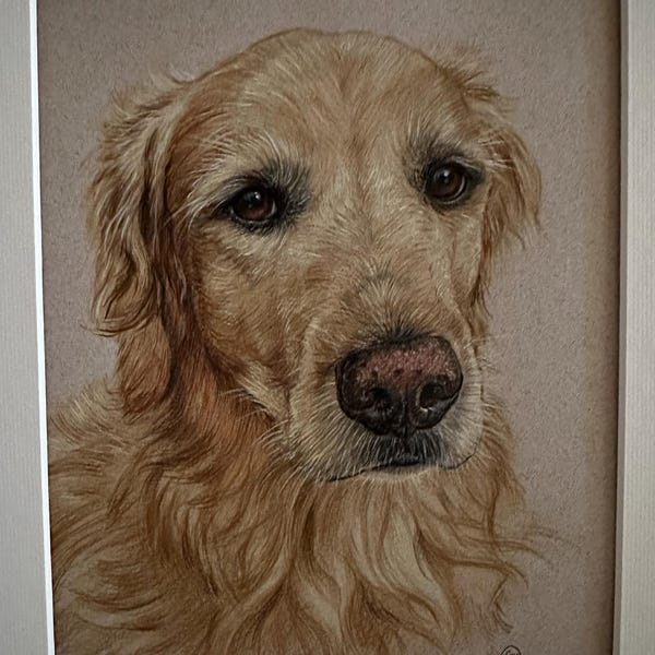 Pet Portraits, Custom Hand Drawn Dog Portraits From Your Photos - Etsy