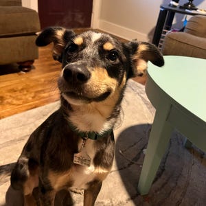 Zoe added a photo of their purchase