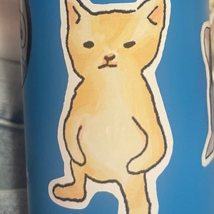 Koch dodał(a) zdjęcie swoich zakupów