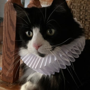 Cat Pet Dog Costume White Ruffled Collar Neck Ruff Victorian | Etsy