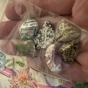Ansley added a photo of their purchase