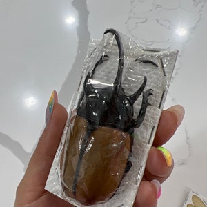 Andrea added a photo of their purchase