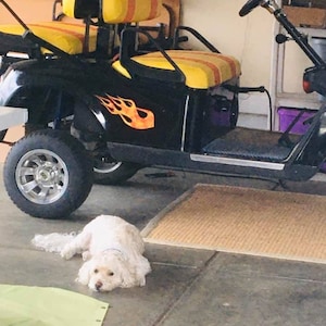 Linda added a photo of their purchase
