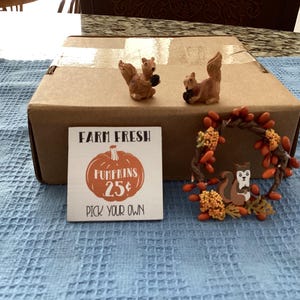 Suellen added a photo of their purchase