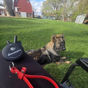 Tina added a photo of their purchase