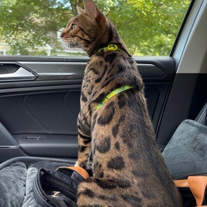 Ida a ajouté une photo de son achat