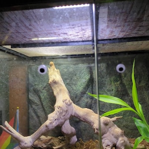 MeoOnMars added a photo of their purchase