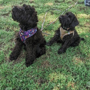 Etsy-Käufer:in hat ein Foto des gekauften Artikels hinzugefügt