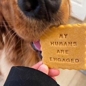 Amanda added a photo of their purchase