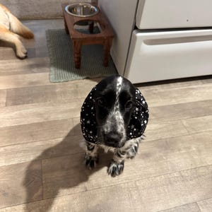 Annie added a photo of their purchase