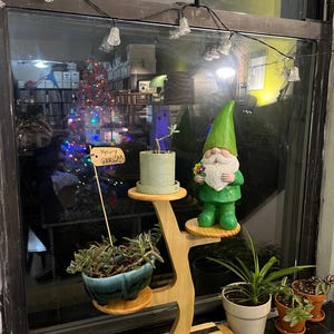 Shawnette adicionaram uma foto da sua compra