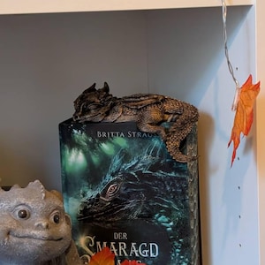 Carola heeft een foto van zijn/haar aankoop toegevoegd