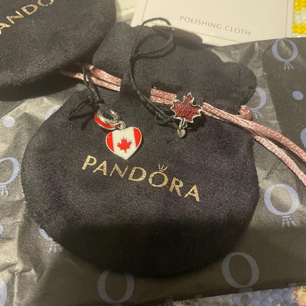 Pandora Daisy Flower Safety Chain Charm