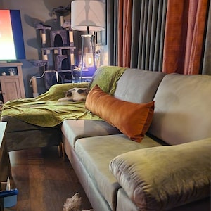 Candus added a photo of their purchase