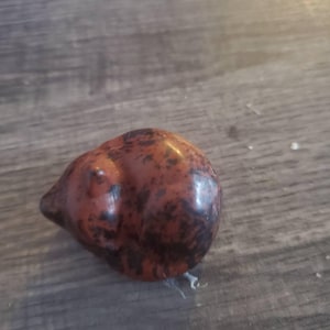 Randi ha aggiunto una foto del proprio acquisto