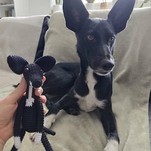 Marina added a photo of their purchase