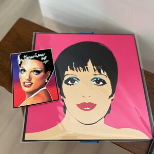 LIZA MINELLI by ANDY Warhol • the Iconic Silk Screen Painting