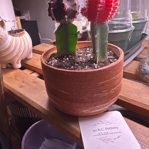 Kerensa added a photo of their purchase