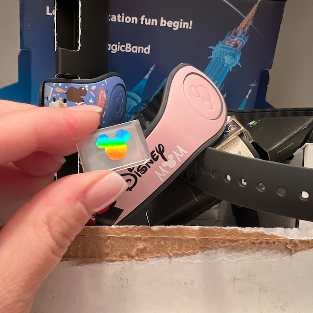  Magic Band Locks Protect your Magicband (includes 2.0