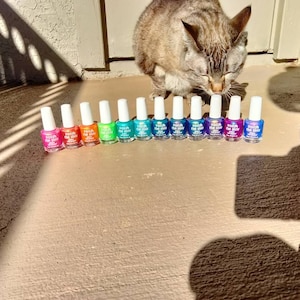 Elxis added a photo of their purchase