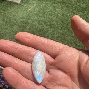 Graysen added a photo of their purchase