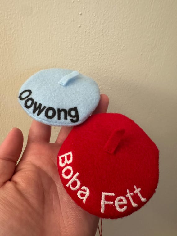 Customer photo of a pet with the Mini Beret for Small Pets