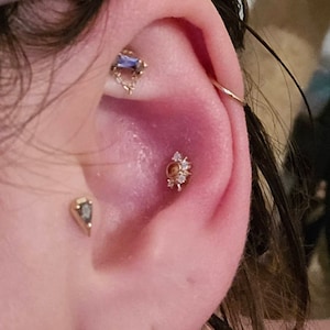 elise added a photo of their purchase