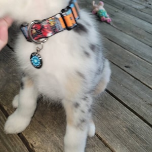 jaymi ha añadido una foto de su compra