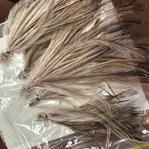 Tama added a photo of their purchase