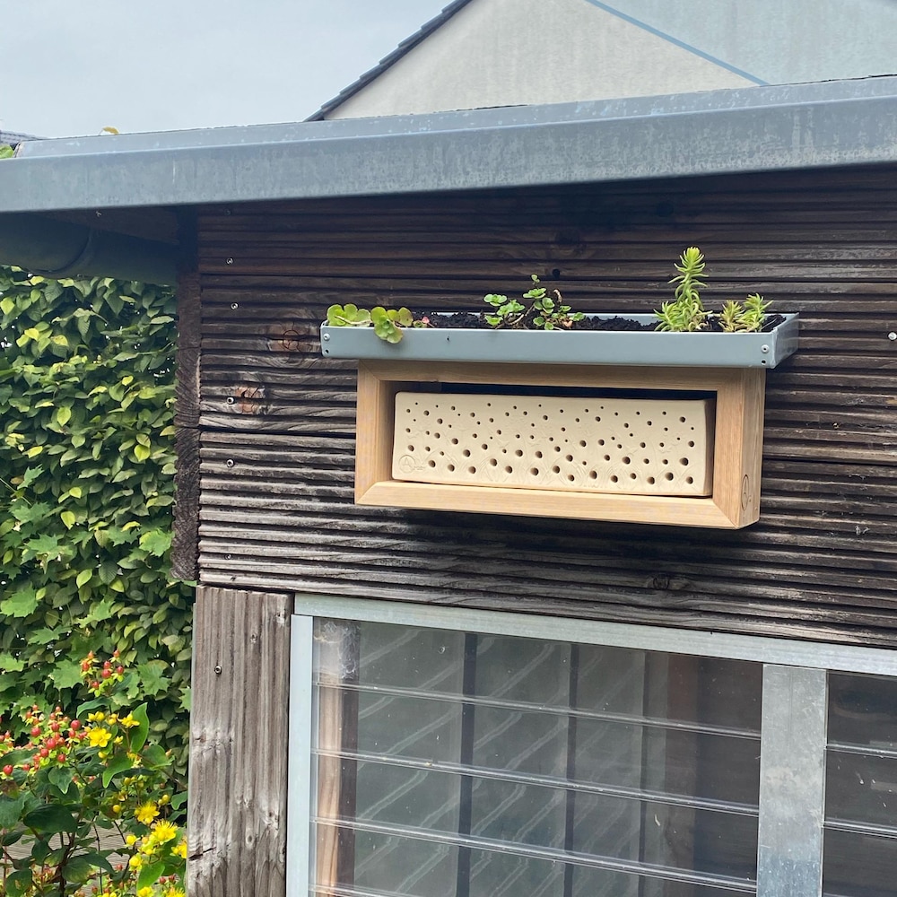 Bienenstein BeeGreen M