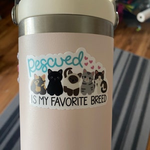 bee added a photo of their purchase
