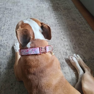 Lorraine added a photo of their purchase