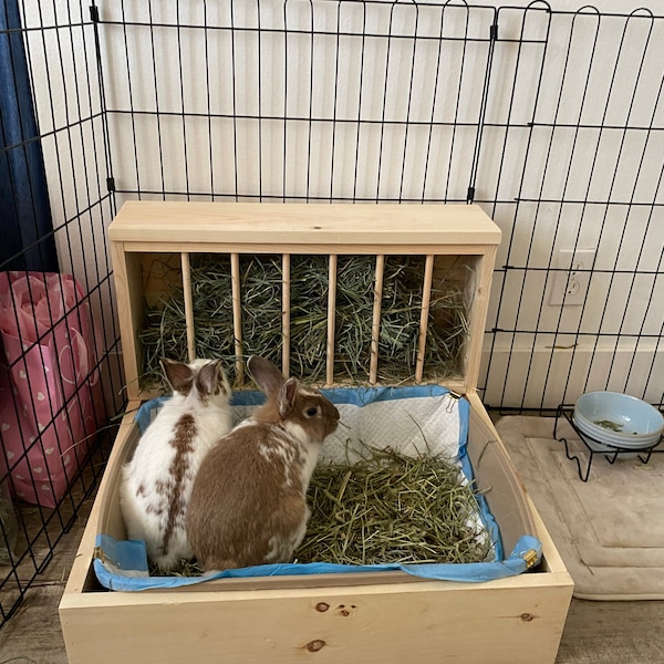 Large - Hop Box: Rabbit Bunny Hay Feeder and Litter Pan Combo, Sifting ...