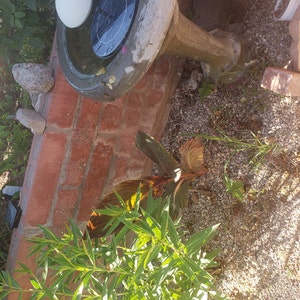 Kimberly ha añadido una foto de su compra