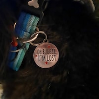 Oh Bugger I'm Lost Dog Tag - Etsy