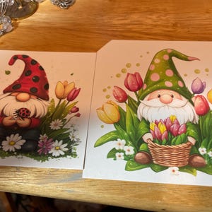 Jiahuade 2 gnomi primaverili con tulipani, mazzi di fiori di