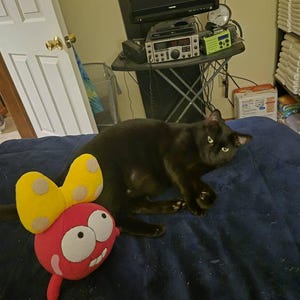 Riki added a photo of their purchase