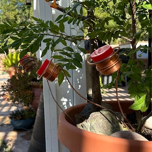 Lynn added a photo of their purchase