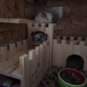 Nadine ha añadido una foto de su compra