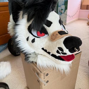 Corvid added a photo of their purchase