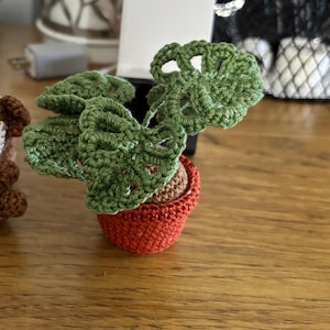 Michelle added a photo of their purchase