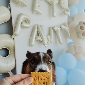 amy added a photo of their purchase