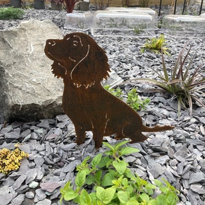 Barbara added a photo of their purchase