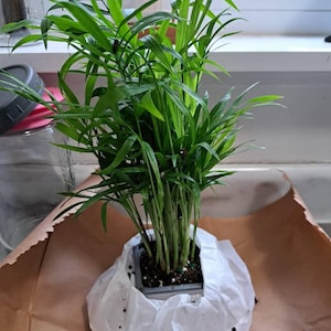 Deborah added a photo of their purchase