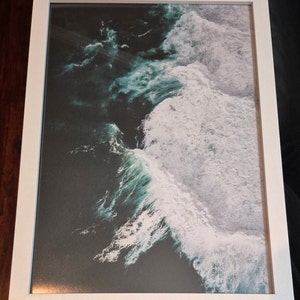 M. added a photo of their purchase