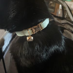 Juliett a ajouté une photo de son achat