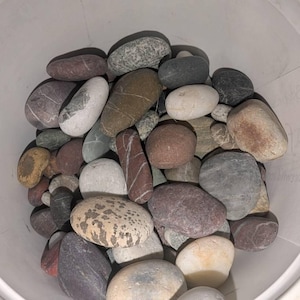 Janice added a photo of their purchase
